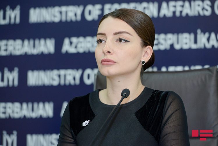 Leyla Abdullayeva: "Ermənistan rəhbərliyinin bu kimi addımları işğalın möhkəmləndirilməsinə xidmət edir”