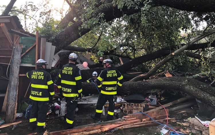 В США 19 человек пострадали при падении большого дерева на гараж