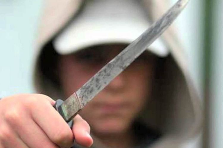 В Газахе женщина напала с ножом на супруга и свекра