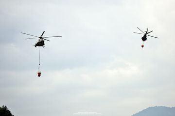 Gürcüstanda meşə yanğını davam edir
