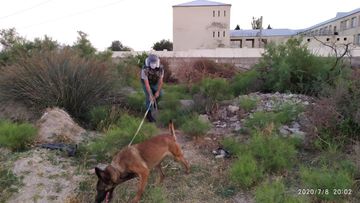 Sumqayıtda yanacaqdoldurma məntəqəsinin yaxınlığında çox sayda patron tapılıb - FOTO