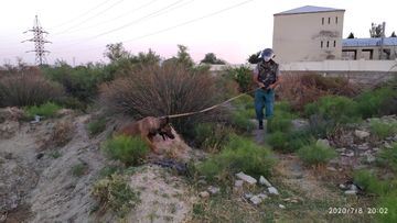 Sumqayıtda yanacaqdoldurma məntəqəsinin yaxınlığında çox sayda patron tapılıb - FOTO