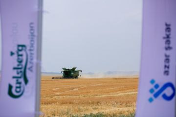 ® "Carlsberg Azerbaijan" və "AzərŞəkər" pivəlik arpa yığımını həyata keçirib - FOTO - VİDEO