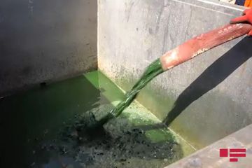 FHN Böyük Şor gölündə təmizləmə işlərinə başlayıb - VİDEO