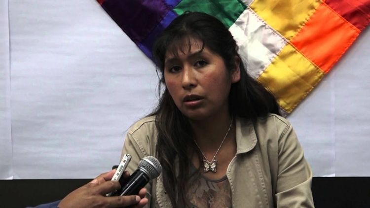 Глава парламента Боливии заразилась коронавирусом