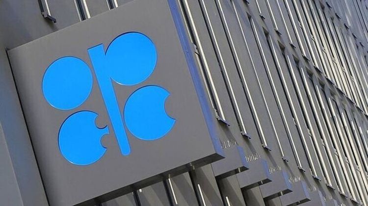 OPEC qlobal neft tələbatı üzrə proqnozunu yaxşılaşdırıb