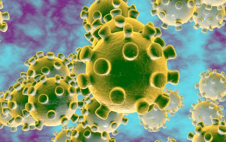 Over 40,000 new coronavirus cases registered in Brazil in past day