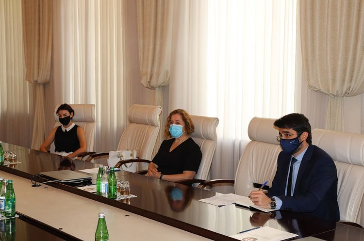  WHO to evaluate epidemiological situation in Baku, Shamakhi and Ganja cities of Azerbaijan