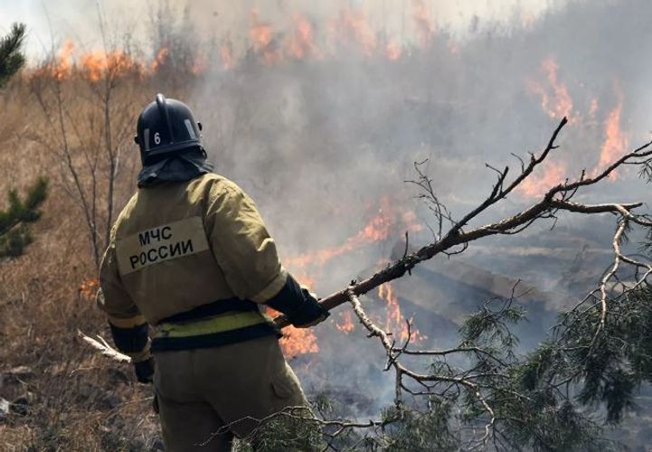 В России за сутки потушили 82 природных пожара