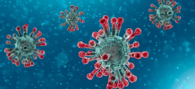 Argentina identifies record number of coronavirus infections in 24 hours