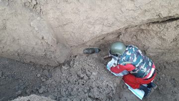 Ermənilərin Tovuza atdığı mərmi partlamayıb, ANAMA mərmini zərərsizləşdirib