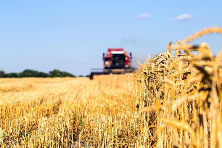 Azerbaijan tops list of countries where Stavropol’s agricultural products are exported