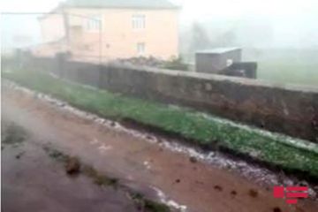 Gədəbəyə dolu yağıb - FOTO