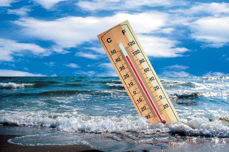Минздрав Италии объявил наивысший уровень опасности из-за жары в 14 городах