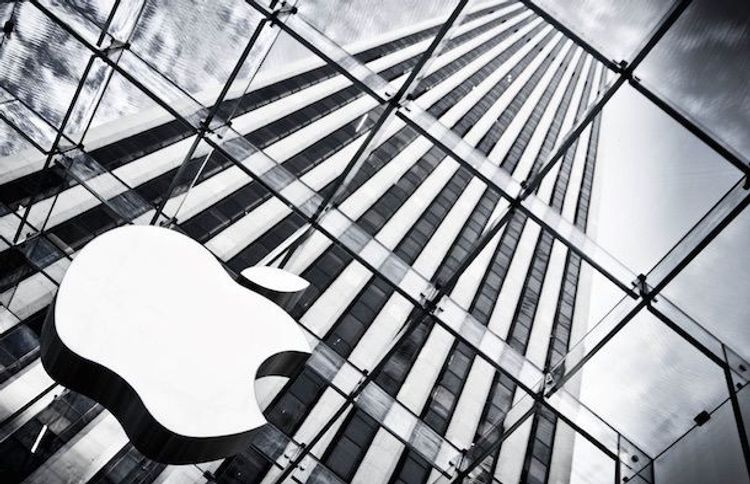 "Apple"ın Azərbaycanda satışları azalıb