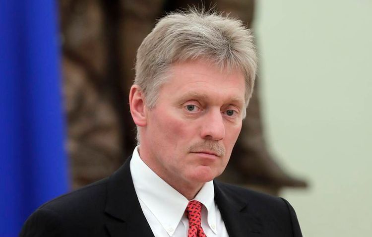 No nationwide discussion of national economic recovery plan expected, says Kremlin
