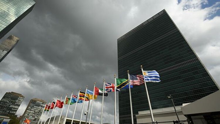 Митингующие просят ООН принять резолюцию с осуждением действий США