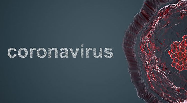 Global coronavirus cases surpass 7 million