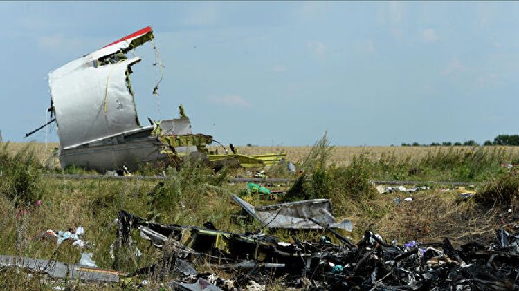 В Нидерландах рассказали о результатах анализа тел членов экипажа MH17