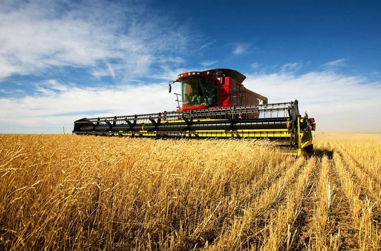 Производство сельхозпродукции в Азербайджане выросло на 3,6% 