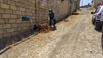 Qaradağda top mərmisi, Xızıda raket tapılıb - YENİLƏNİB