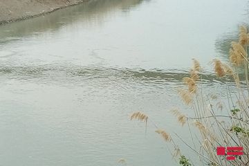 Mingəçevir su anbarında suyun səviyyəsi 2,4 m enib
