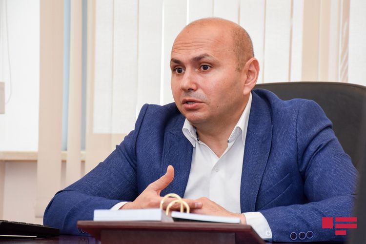 Deputat: "Beynəlxalq təşkilatlar Ermənistandakı vəziyyəti düzgün qiymətləndirməlidir"