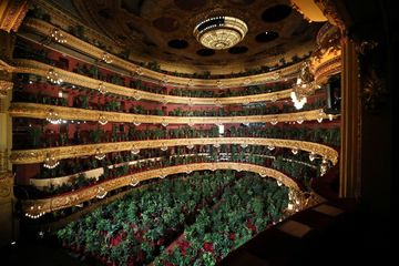 İspaniyada karantindən sonra bitkilərə konsert verilib