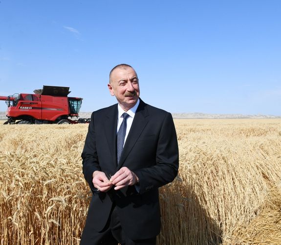 President Ilham Aliyev attended presentation of agropark in Garaaghajli village in Samukh