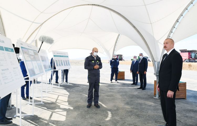  Prezident İlham Əliyev Samuxda “Aqro Dairy” MMC-nin aqroparkının fəaliyyəti ilə tanış olub - YENİLƏNİB
