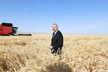  Prezident İlham Əliyev Samuxda “Aqro Dairy” MMC-nin aqroparkının fəaliyyəti ilə tanış olub - YENİLƏNİB
