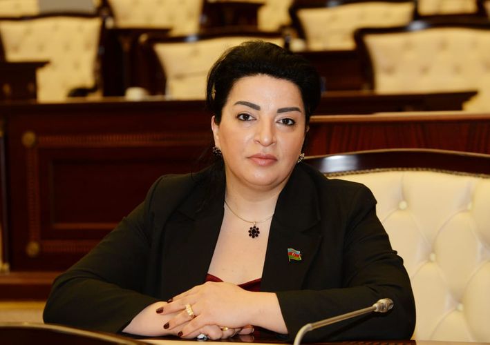 Fatma Yıldırım: “Dövlət başçısının cəmiyyətə ünvanladığı mesajlar milli birliyin gücləndirilməsi üçün növbəti çağırışdır”