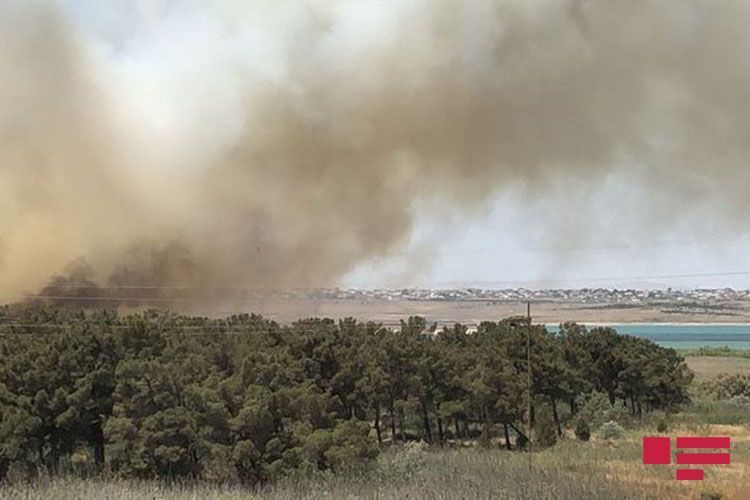Пожар вблизи Джейранбатанского водохранилища потушен - ОБНОВЛЕНО