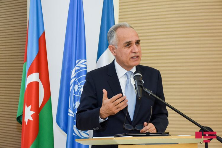 UN Resident Coordinator addresses virtual appeal, entitled "Do it for Azerbaijan" - VIDEO