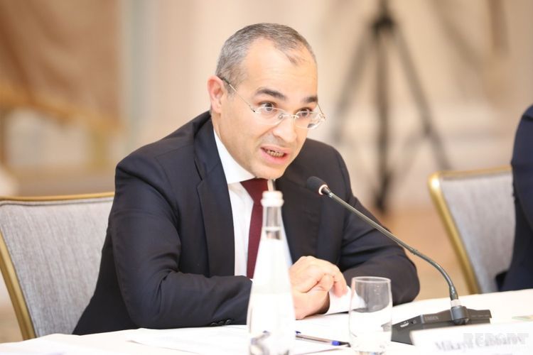 Imports and exports of Azerbaijan decrease due to pandemic, Azerbaijani minister says