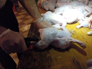Siyəzəndə quş ətinin çəkisini su vuraraq artıran müəssisə aşkarlanıb - FOTO