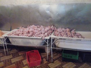 Siyəzəndə quş ətinin çəkisini su vuraraq artıran müəssisə aşkarlanıb - FOTO