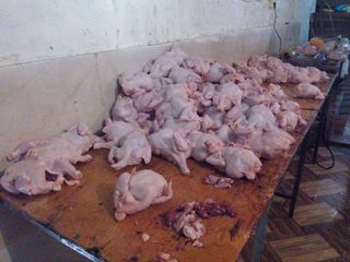 Siyəzəndə quş ətinin çəkisini su vuraraq artıran müəssisə aşkarlanıb - FOTO