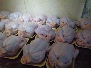 Siyəzəndə quş ətinin çəkisini su vuraraq artıran müəssisə aşkarlanıb - FOTO
