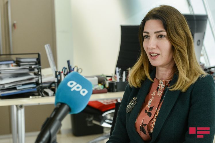 Директор Азербайджанского музея ковра: В Великобритании считают ковер «Шейх Сефи» иранским, и это большая проблема