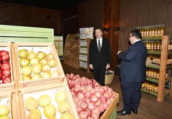 Prezident İlham Əliyev Ağstafa Aqrar Sənaye Kompleksinin açılışında iştirak edib - YENİLƏNİB