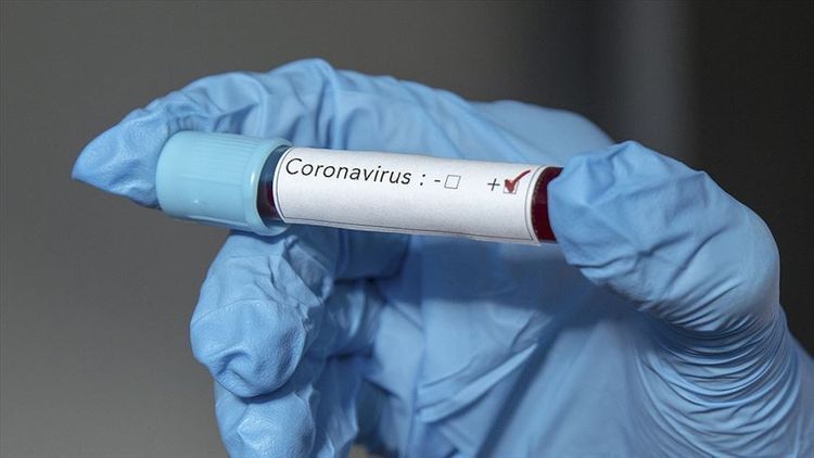 В России зарегистрировали новый случай коронавирусной инфекции