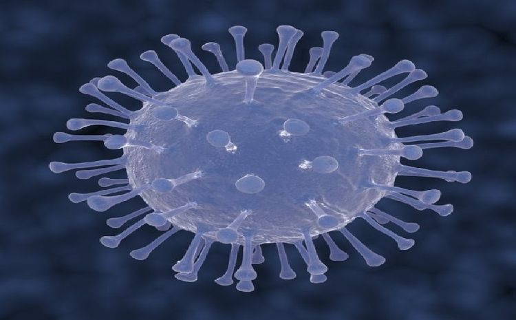 Coronavirus death toll climbs to 107 in Iran