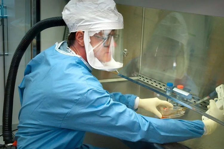 Gürcüstanda koronavirusa yoluxanların sayı 9-a çatıb