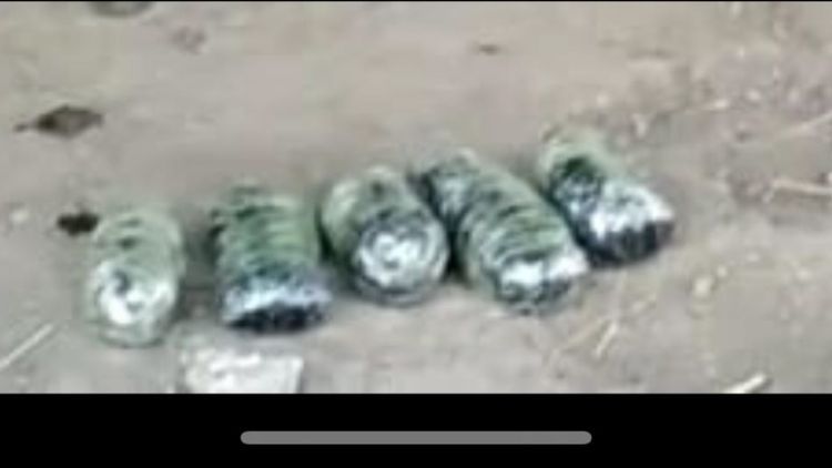 У жителя Джалилабада изъято более 7 кг наркотиков
