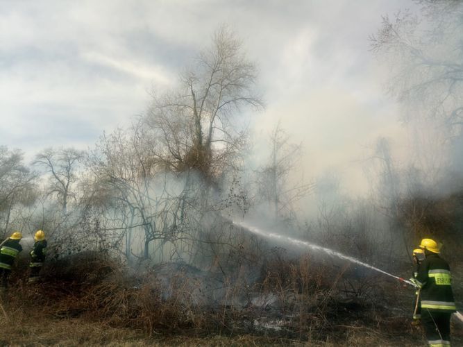 MES: Forest strip in Azerbaijan’s Oghuz protected from fire   