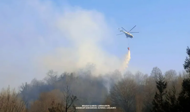 Площадь лесных пожаров в Грузии увеличилась