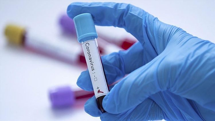 Palestine confirms 6 more coronavirus cases