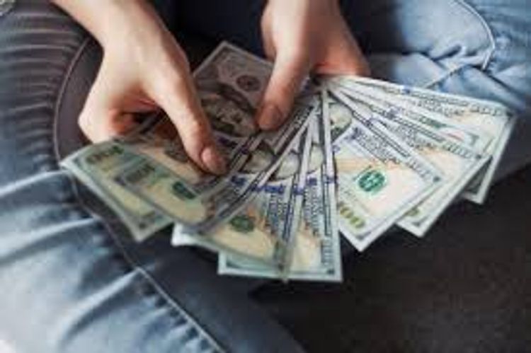 AMB: Kredit portfelində dollarlaşma ilin əvvəlindən artıb