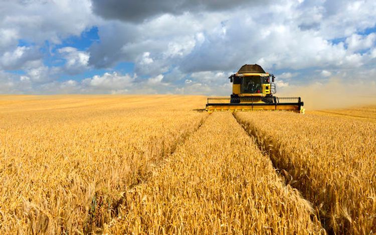 Azerbaijan increases agriculture production by 3.6% 